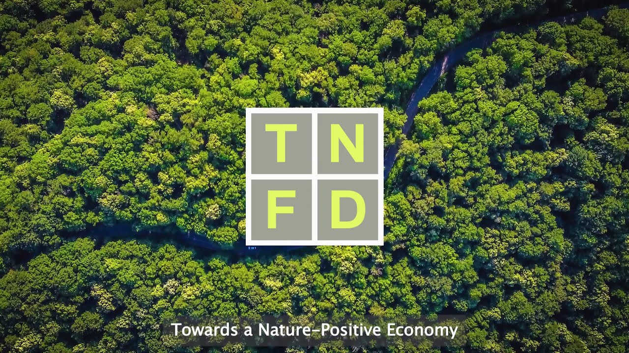 NatureFinance congratulates TNFD on its first convening & launch of Development Finance Hub