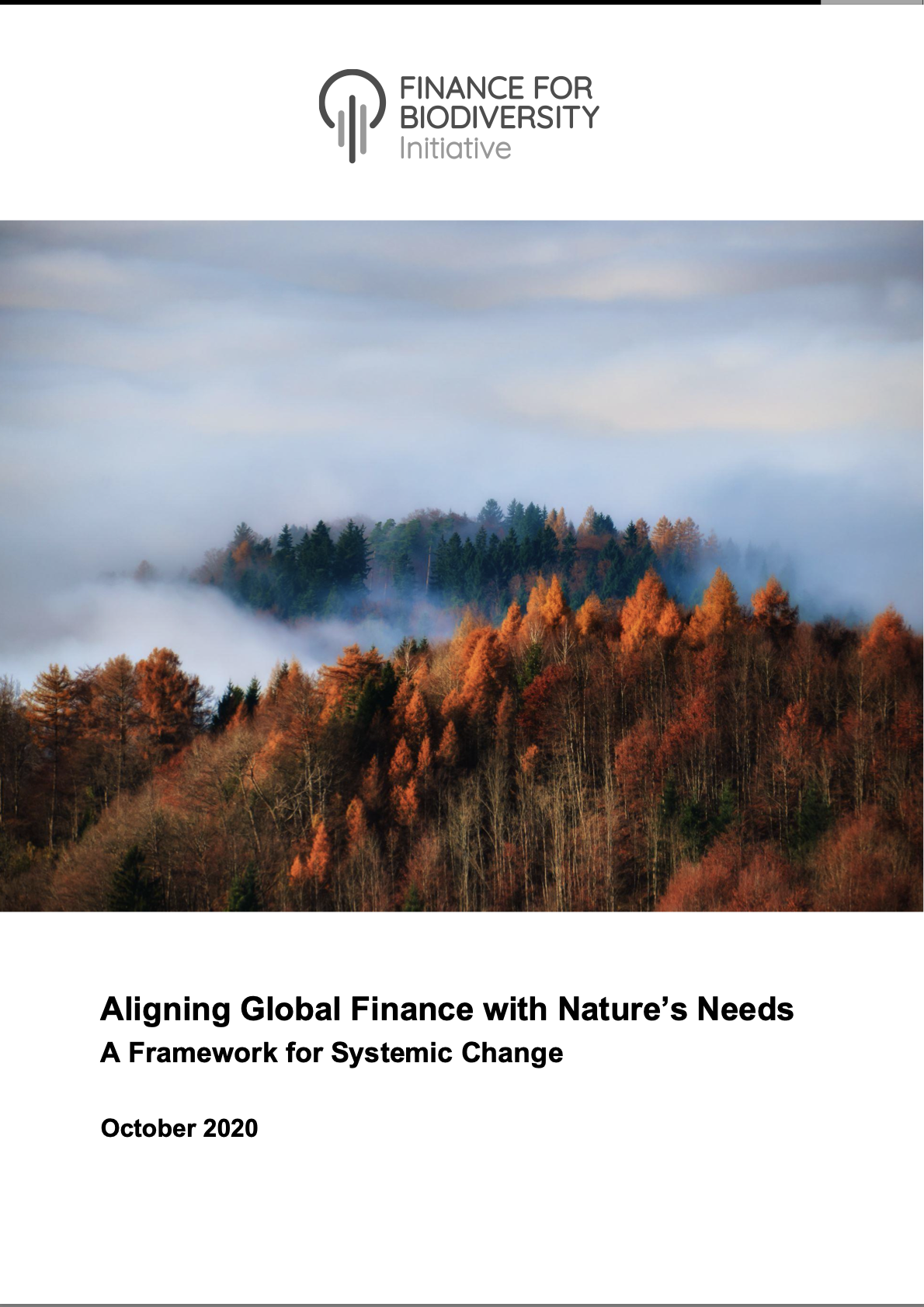 Aligning Global Finance with Nature’s Needs