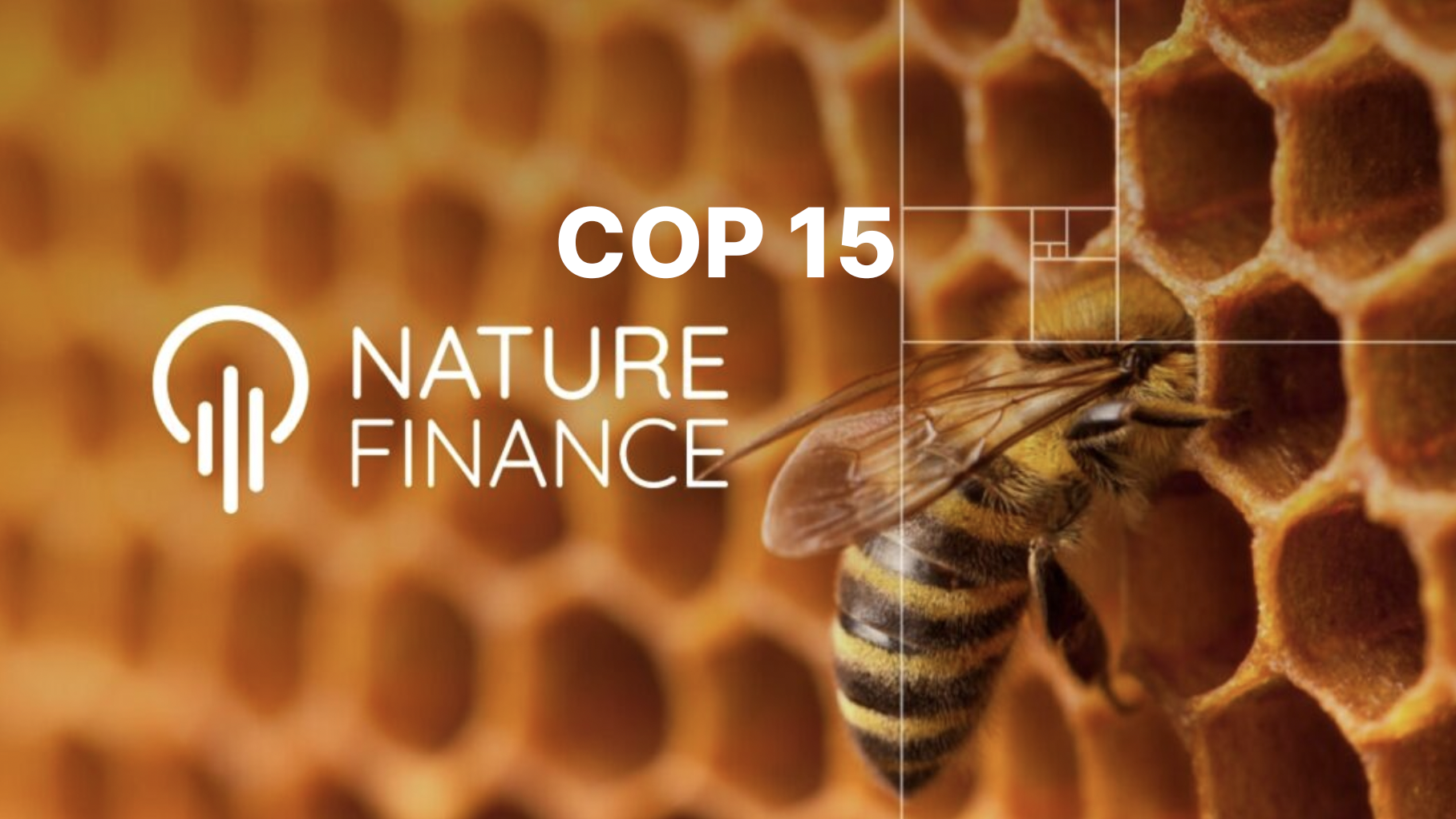 NatureFinance at COP 15