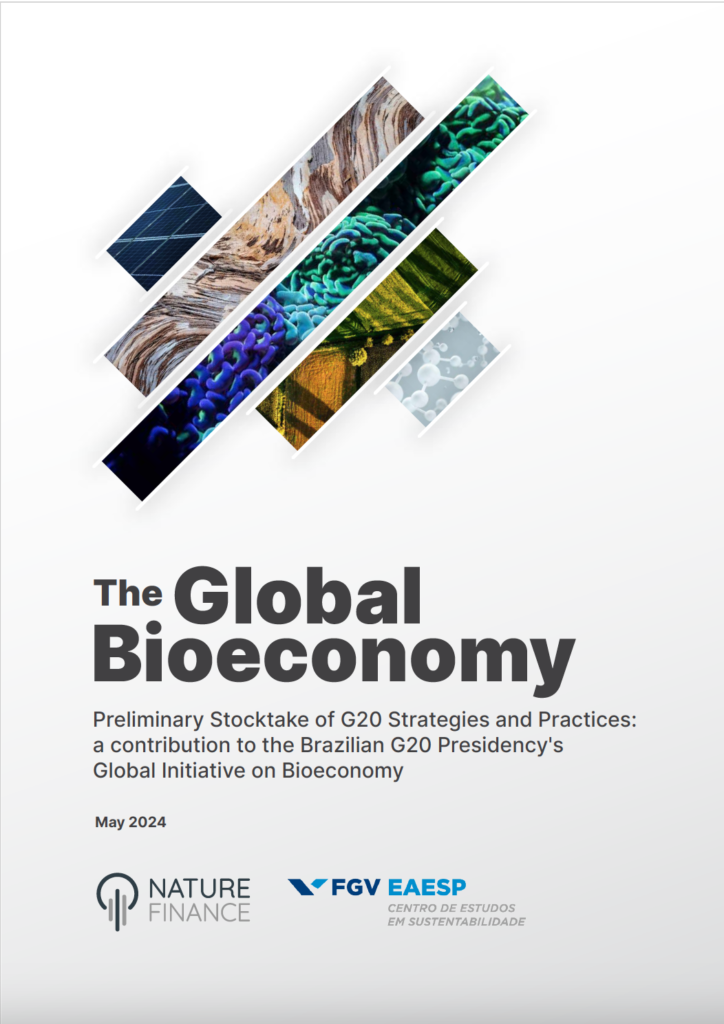 Global Bioeconomy - preliminary stocktake on g20 strategies and practices