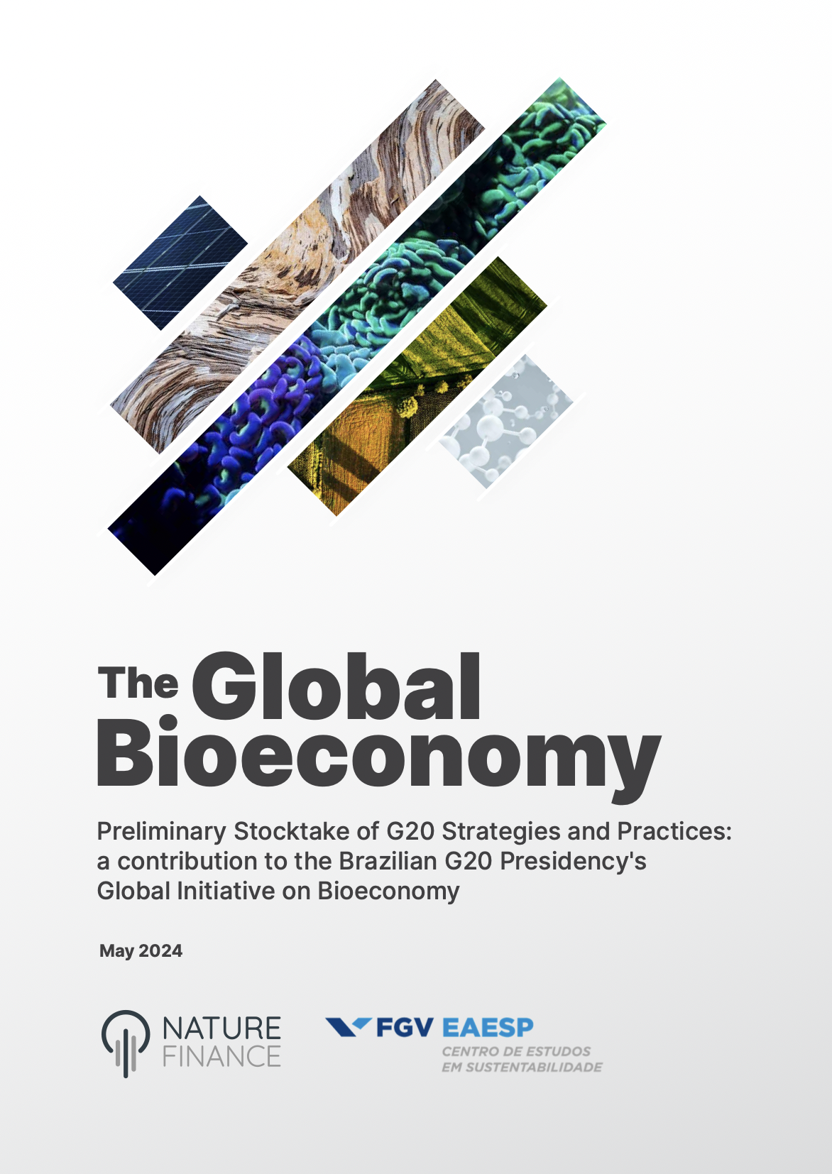 مسارات الاقتصاد الحيوي: الإسهام في مجموعة العشرين - الوجبات السريعة الرئيسية