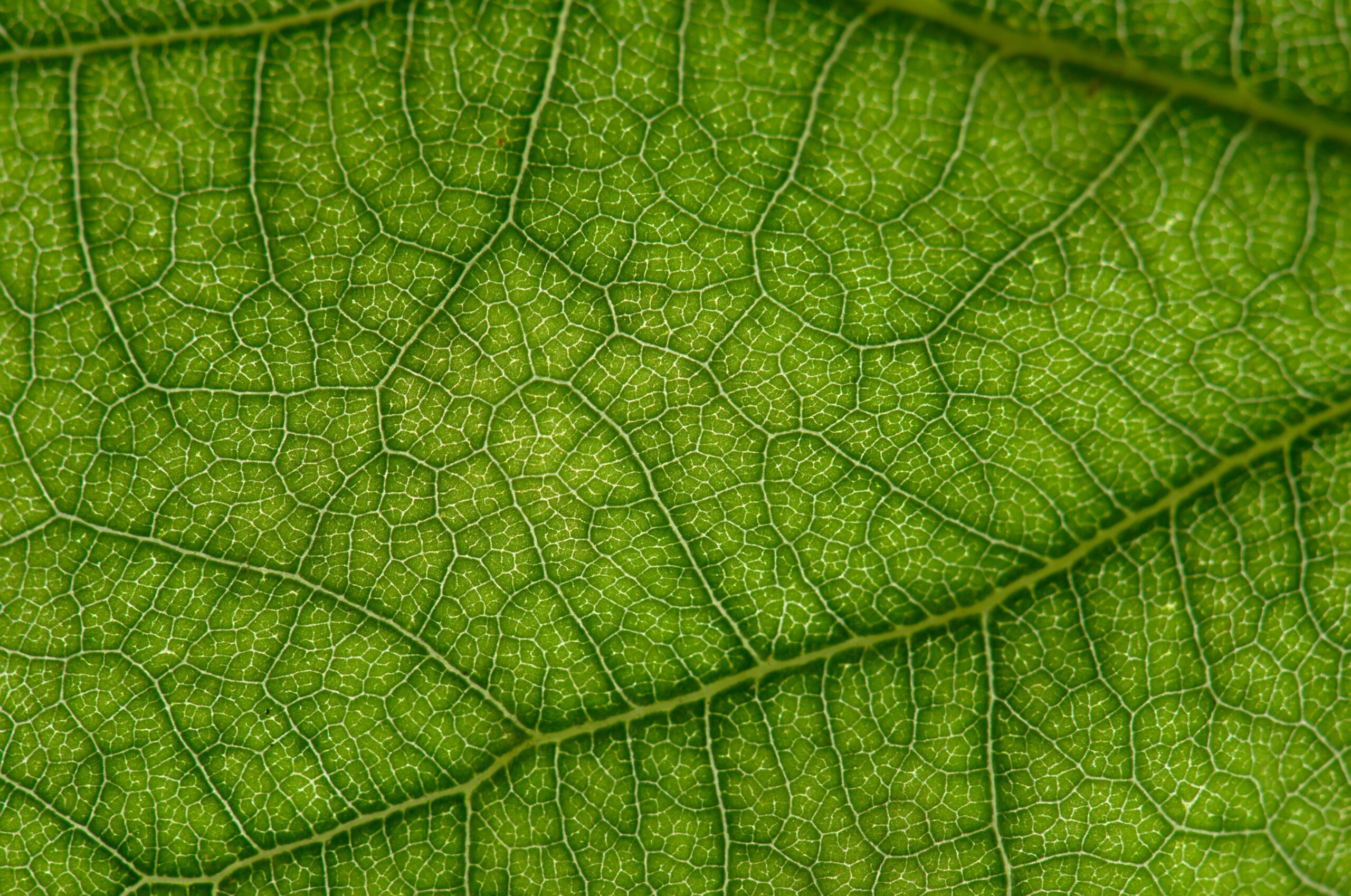 为生物经济融资就是为我们的生存投资