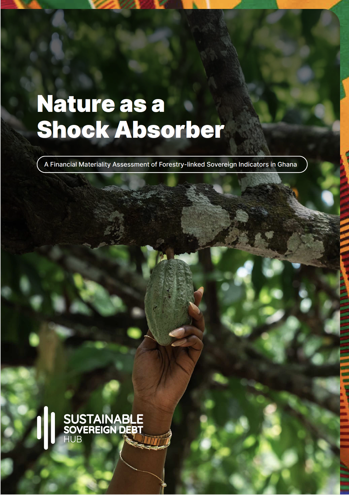 Nature as a Shock Absorber: A Financial Materiality Assessment of Forestry-linked Sovereign Indicators in Ghana