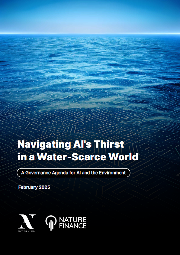 Navigating AI’s Thirst in a Water-Scarce World: A Governance Agenda for AI and the Environment